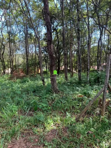 Lotes em Condomínio em Canto Do Riacho.