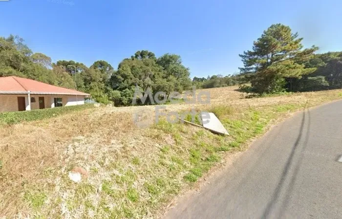 TERRENO, CAMPO LARGO, 5.000,00 M2, 2 KM DA FABRICA DA INCEPA - LOTE 3