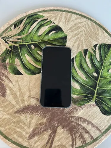 Iphone 13 mini