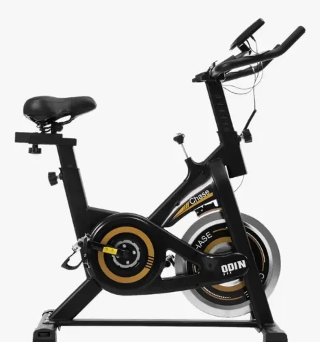 Bicicleta ergométrica