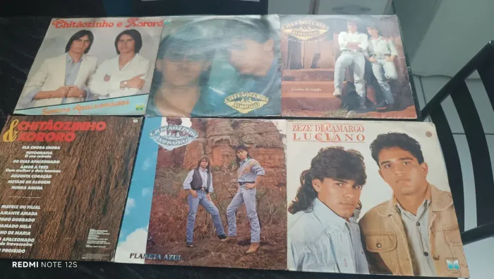 Lote 12 LPs Sertanejos