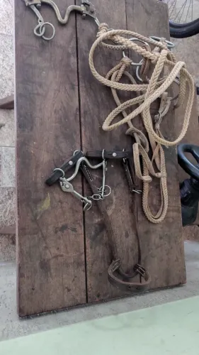 Arreios de cavalo