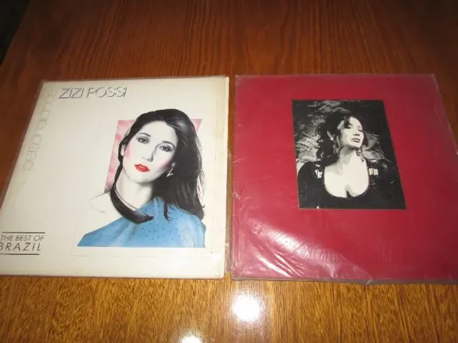 Disco Vinil Zizi Posse