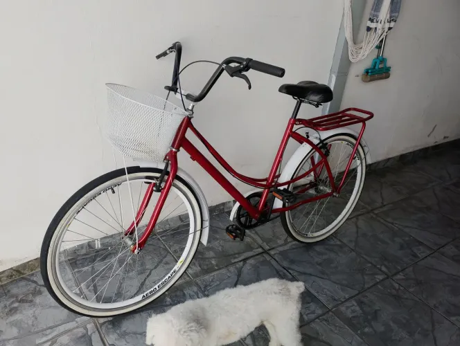 Bicicleta aro 26