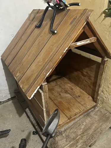 CASA PET MADEIRA