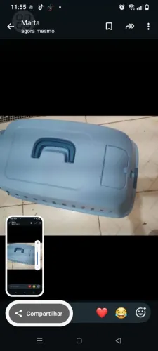 Casinha de transporte de cachorro e gatos