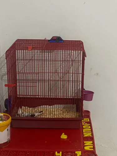 Gaiola hamster