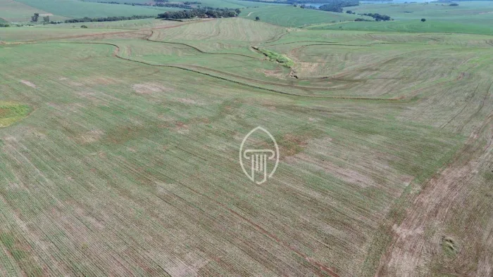 Fazenda à venda, 96 Alqueires a por R$ 38.400.000 - Alvorada do Sul/PR