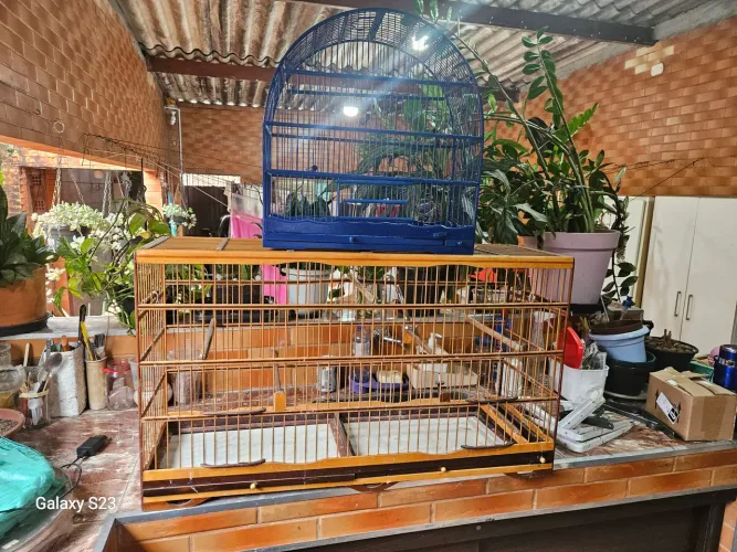 Gaiolas viárias