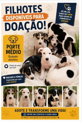 Doaçã de cachorros porte medio