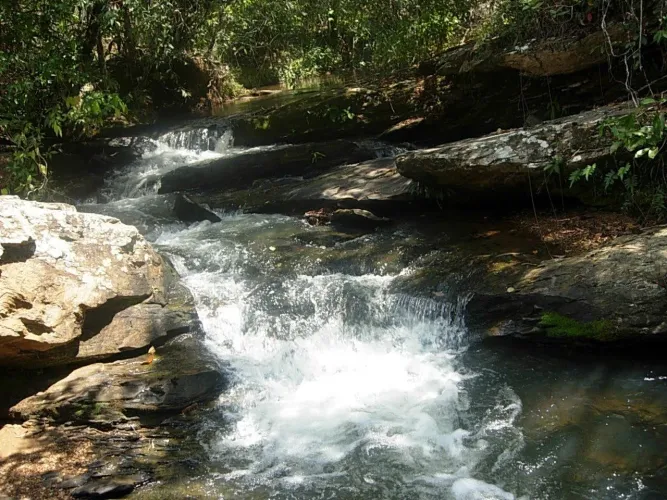 Chácaras entre São Miguel do passa Quatro e Vianópolis 