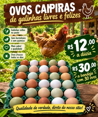 Ovos de galinha caipira