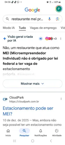 Cozinheira (comida caseira)66050350