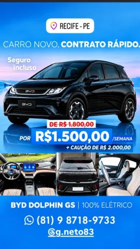 Byd Dolphin Gs
