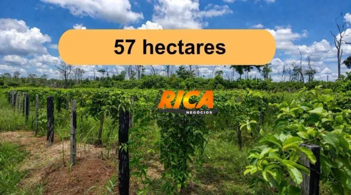 Vende-se sítio com 57 hectares na área rural de Humaitá/AM