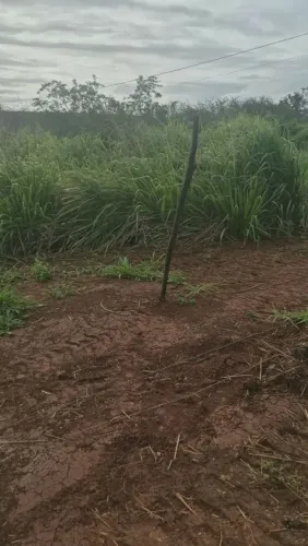 Lote terreno oliveira dos campinhos