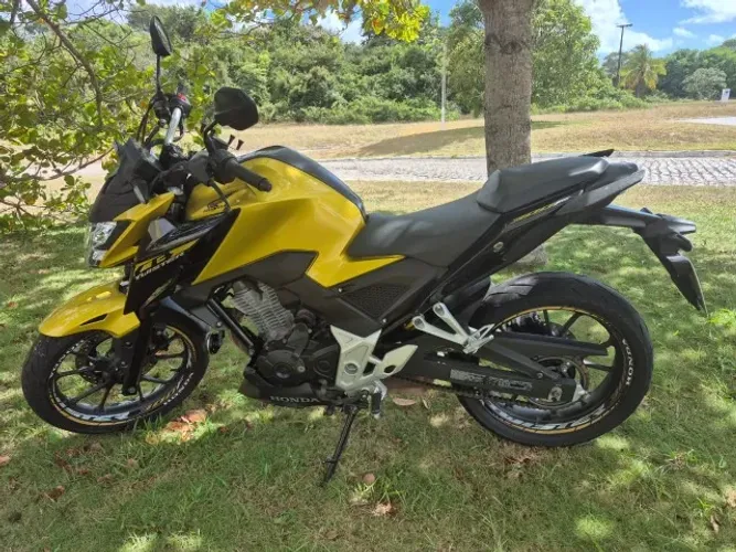 Honda CB 300f Twister Flex 2024