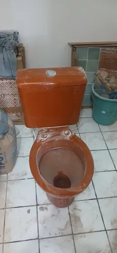 Vaso sanitário