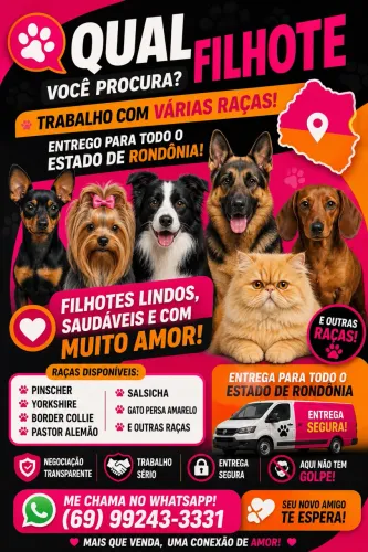 Filhotes De cachorro e Gato 