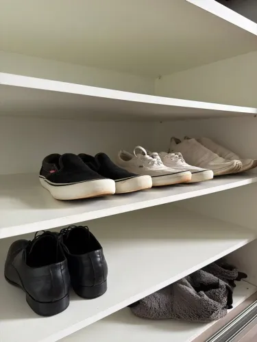 Tenis