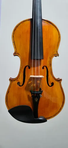 Violino autor Nelson cavalcante