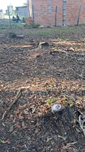 Terreno