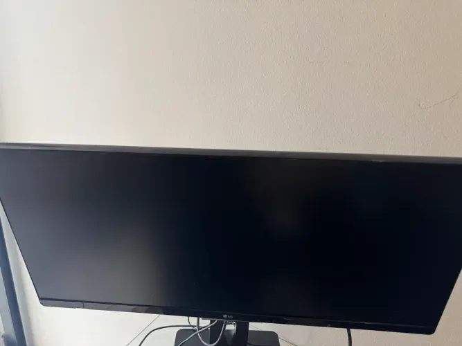 Lg monitor ultrawide 25