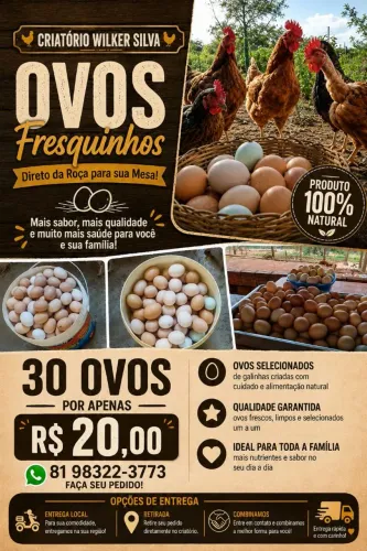 Ovos de capoeira 20 reais a bandeja com 30 ovos 
