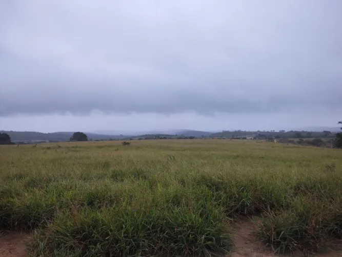 Fazenda 320 hectares (Documentada) toda no pasto e plana