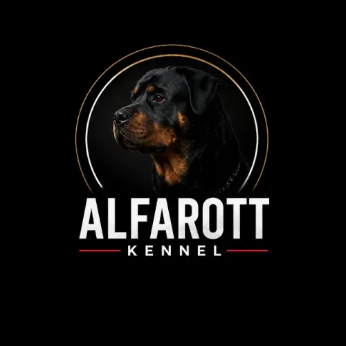 FILHOTES DE ROTTWEILER DISPONÍVEIS