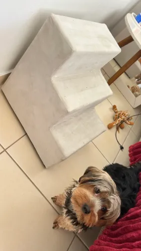 Escada pra cachorro