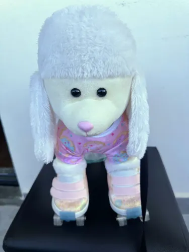 Vendo Poodle Criamigos !