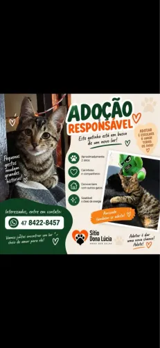 Doação