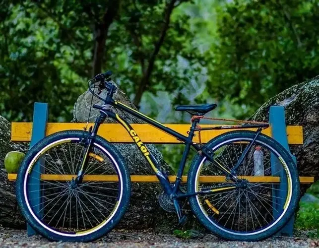 Bicicleta Caloi Velox aro 29