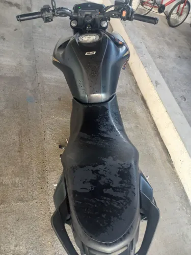Fz 15 2025