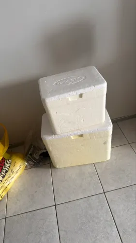 Caixas de isopor cooler 