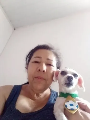 Faxineira