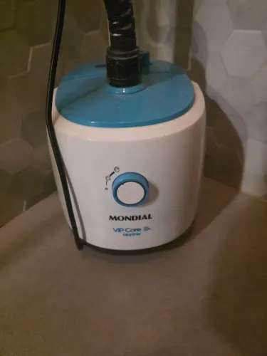 Passadeira a vapor 