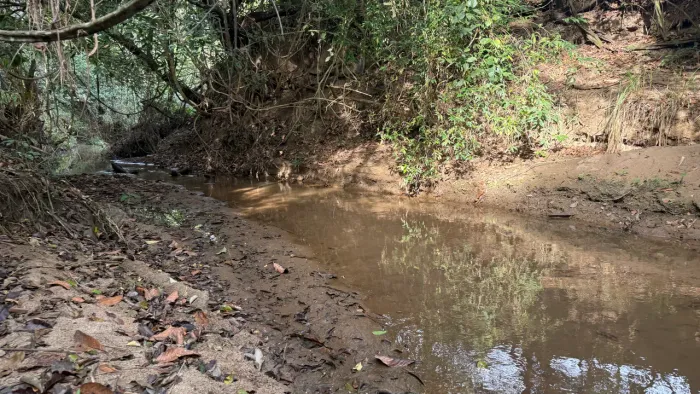 Chacara de 1.800mt em professor Jamil com córrego !
