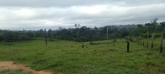 Fazenda com 97ha, com pastagem para gado