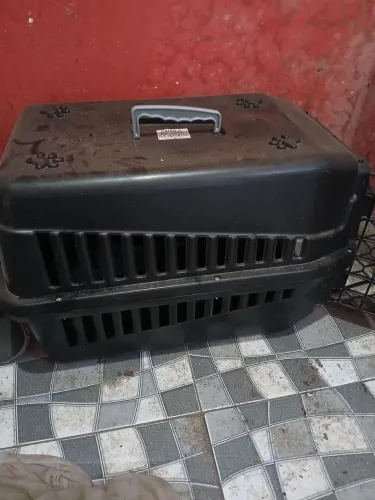 Transporte de cão 