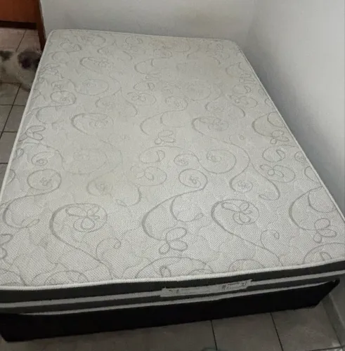 Cama