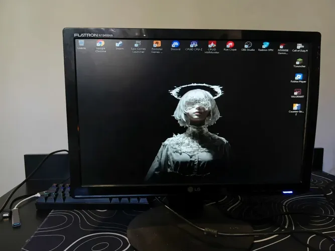 Monitor LG