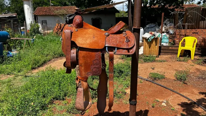 Sela de laço