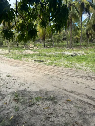 Lotes em lagoa Redonda-Pirambu