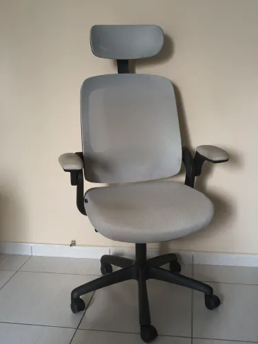 Cadeira Ergonômica Elements Astra