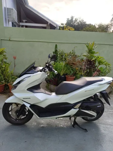PCX 2024