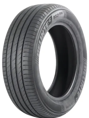 Pneu Delinte 255/50/r20 SUV 109 Y DS2