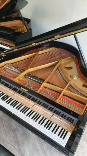 Piano de cauda Fritz Dobbert n Yamaha Steinway Essenfelder Schneider