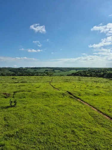 TERRA COM 105 HECTARES A VENDA EM BANDEIRANTES MS